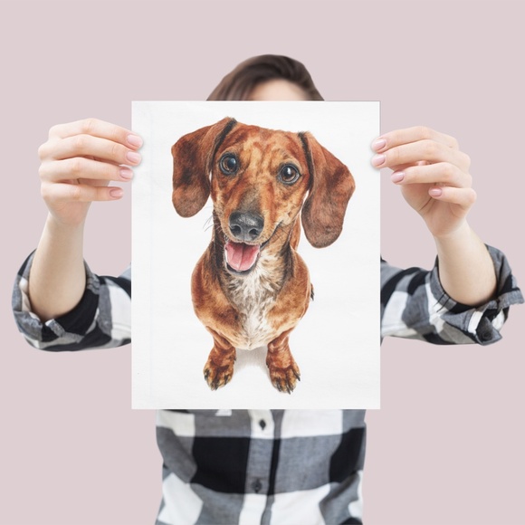 Watercolor Dachshund Dog Portrait Art Print – Unframed Fine Art Poster - Picture 4 of 5